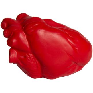 Anatomical Heart Stress Ball