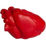 Anatomical Heart Stress Ball