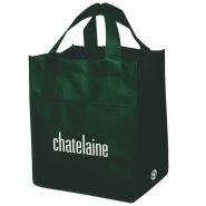 Non-Woven Carry All Bag
