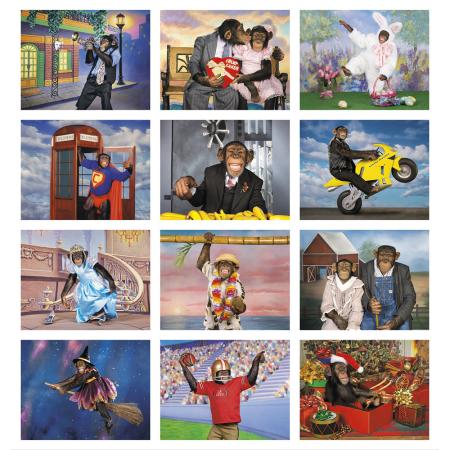 Monkey Business Calendar 3