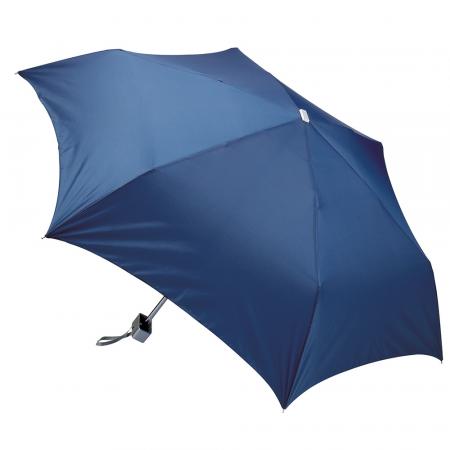 Folding Mini Umbrella in Silver Colour Case - 43 2