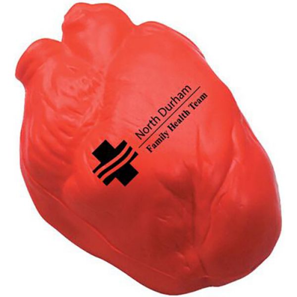 Anatomical Heart Stress Ball