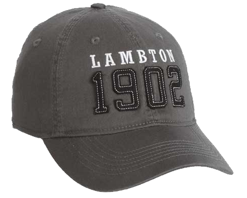 Custom Gray Cap as one of the Tradeshow Marketing Ideas